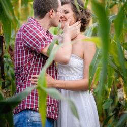 fotografie de logodna in lanul de porumb, cuplu sarutandu-se