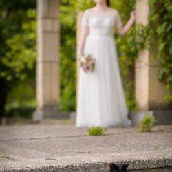 portret de.. pisica :)