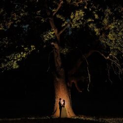 Cuplu îmbrățișându-se sub un copac iluminat noaptea.